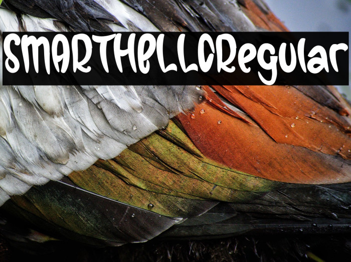 SMARTHELLORegular Example 2