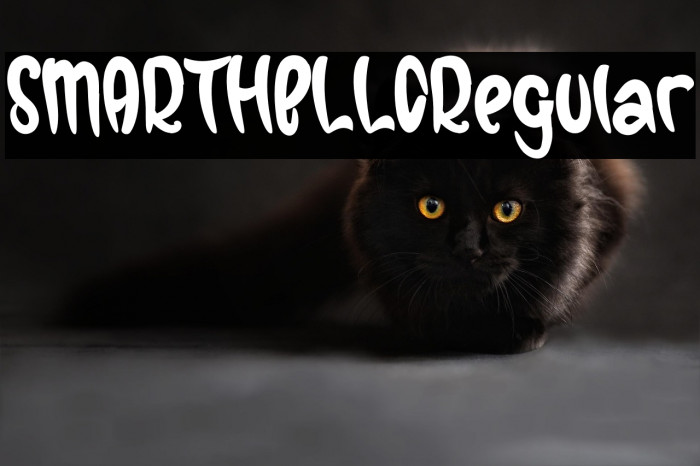 SMARTHELLORegular Example 3