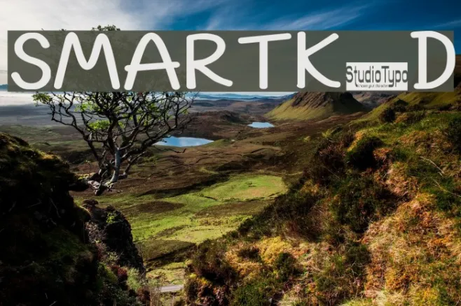SMARTK0D Example 1