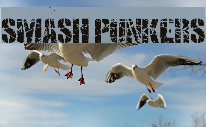 SMASH PUNKERS Example 1