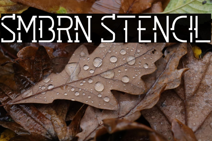 SMBRN Stencil Example 3