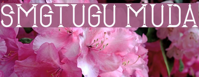 SMG_Tugu Muda Font examples