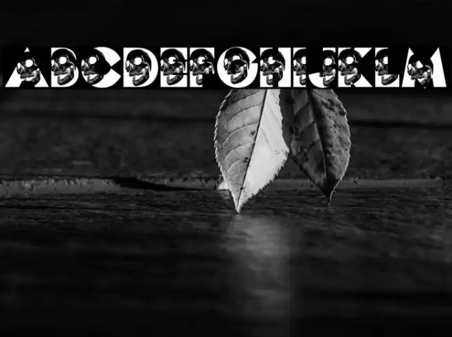 SMILE PERSONAL USE Bold Font examples