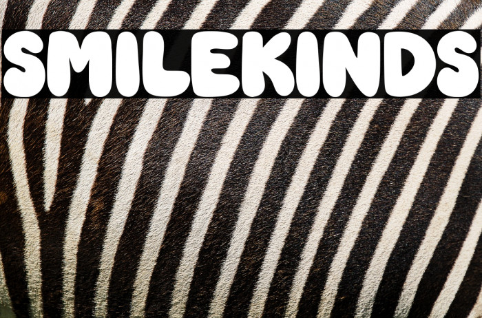 SMILEKINDS Example 3