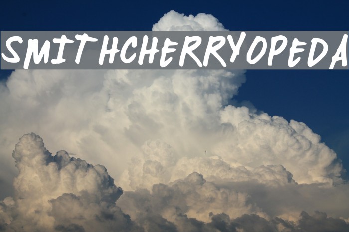 SMITHCHERRYOPEDA Example 2