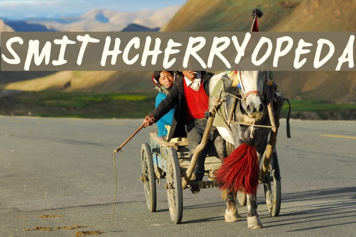 SMITHCHERRYOPEDA Example 3