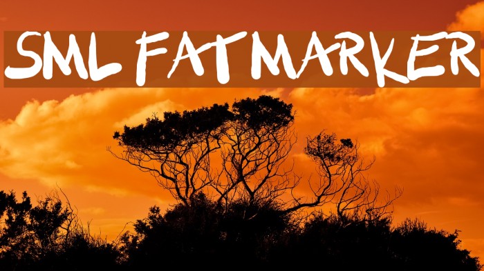 SML FAT MARKER Font examples