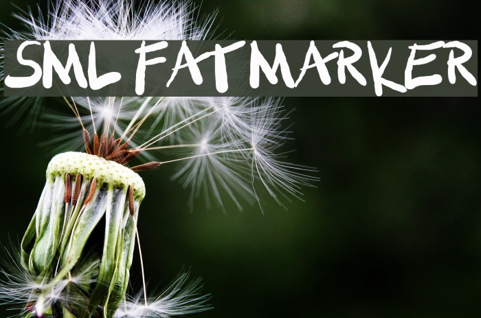 SML FAT MARKER Font examples