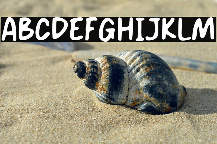 SMOOTH RICE Example 1