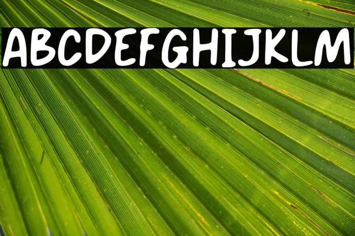 SMOOTH RICE Example 2