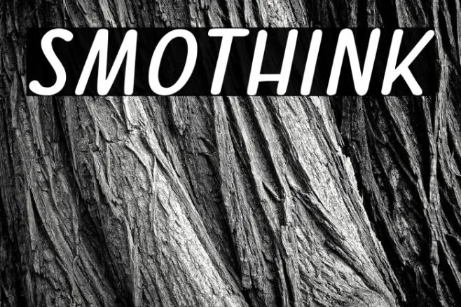 SMOTHINK Example 1