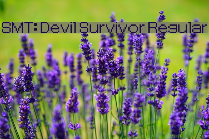SMT: Devil Survivor Regular Font examples