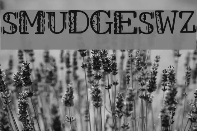 SMUDGES_WZ Font examples