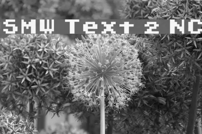 SMW Text 2 NC Font examples