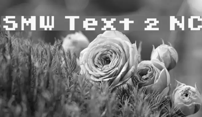 SMW Text 2 NC Font examples