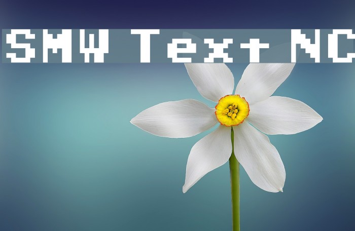 SMW Text NC Polices examples