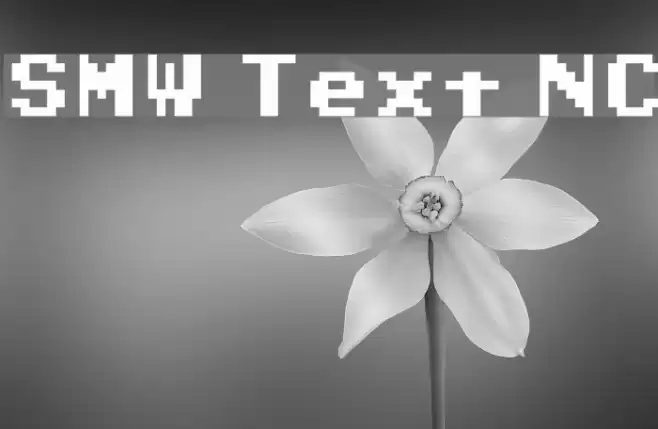 SMW Text NC フォント examples