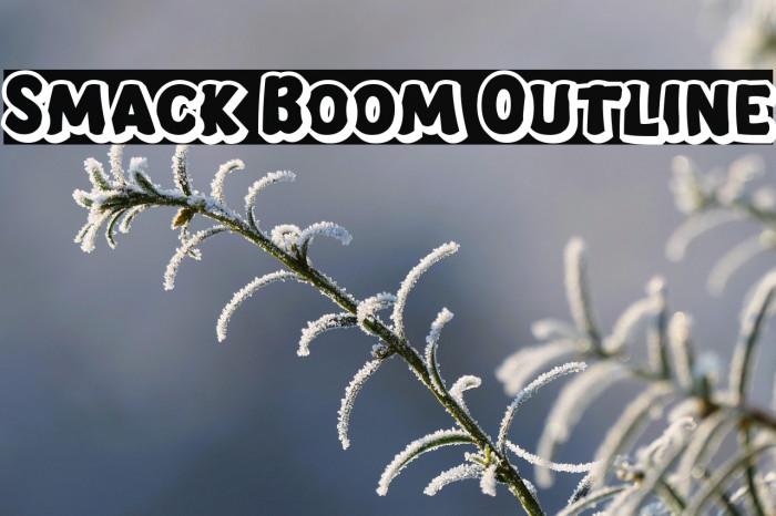 Smack Boom Outline Example 1