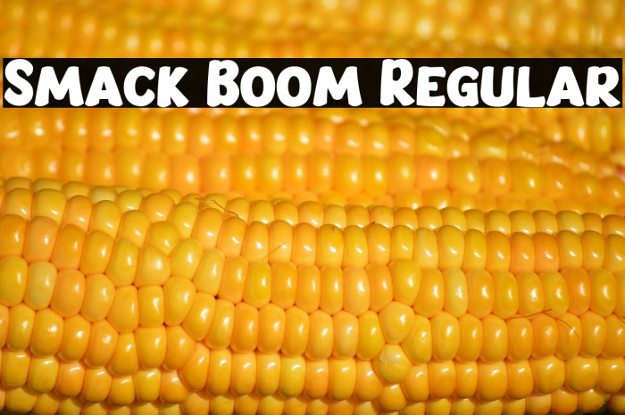 Smack Boom Regular Example 3