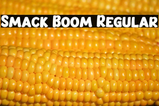 Smack Boom Regular Example 3