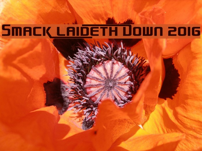 Smack Laideth Down 2016 Fonte examples