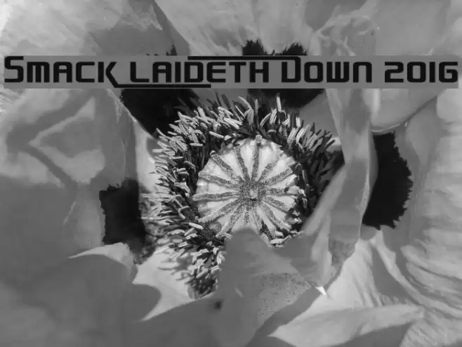 Smack Laideth Down 2016 Font examples