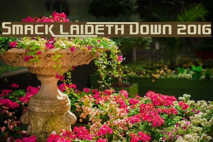 Smack Laideth Down 2016 Fonte examples