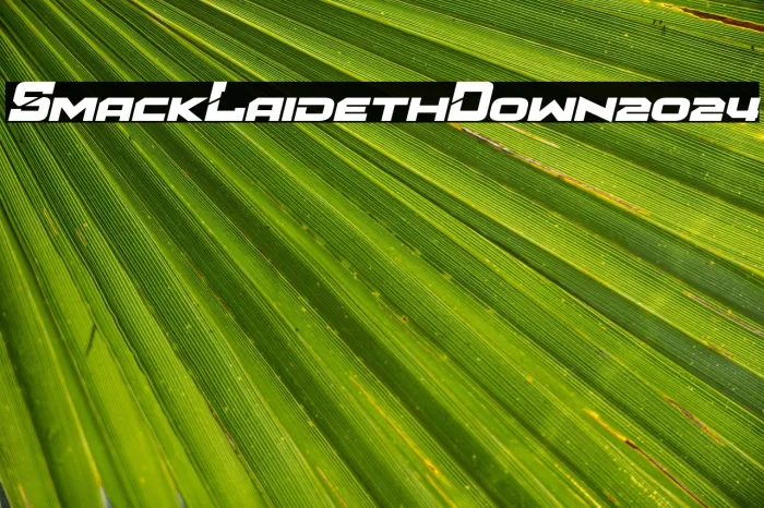 Smack Laideth Down 2024 Example 3