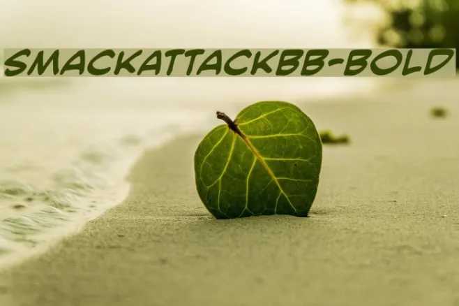 SmackAttackBB-Bold Example 3