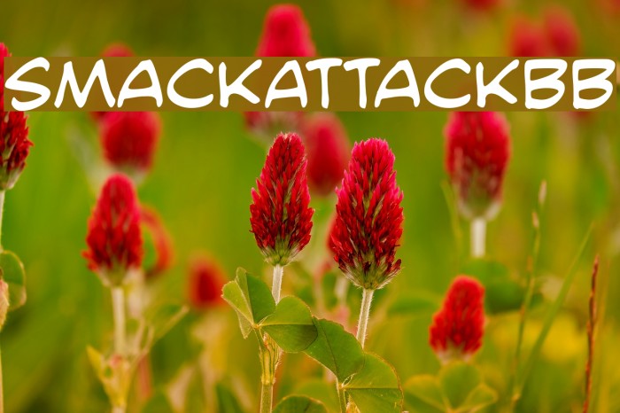 SmackAttackBB Example 2