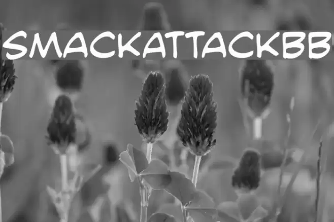 SmackAttackBB Font examples