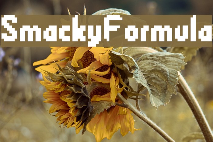 SmackyFormula Example 3