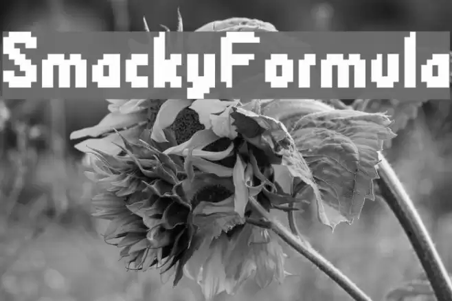 SmackyFormula Font examples