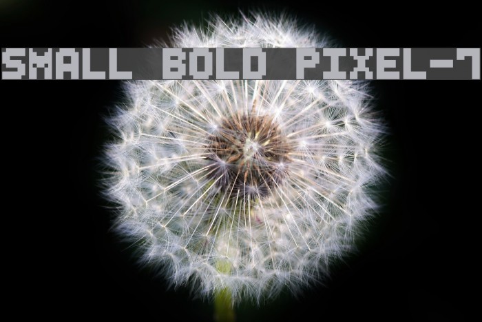 Small Bold Pixel-7 Font examples