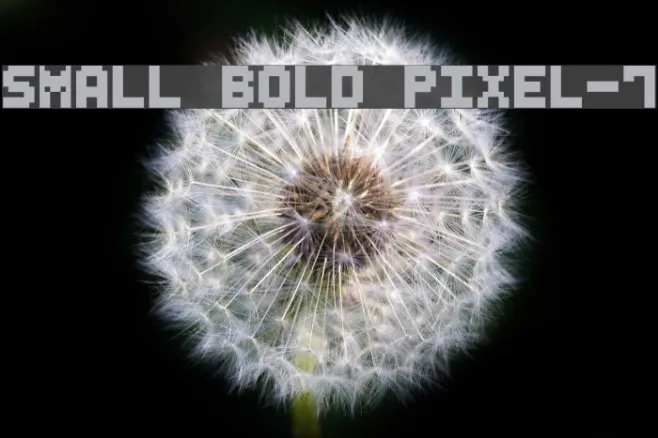 Small Bold Pixel-7 Example 2