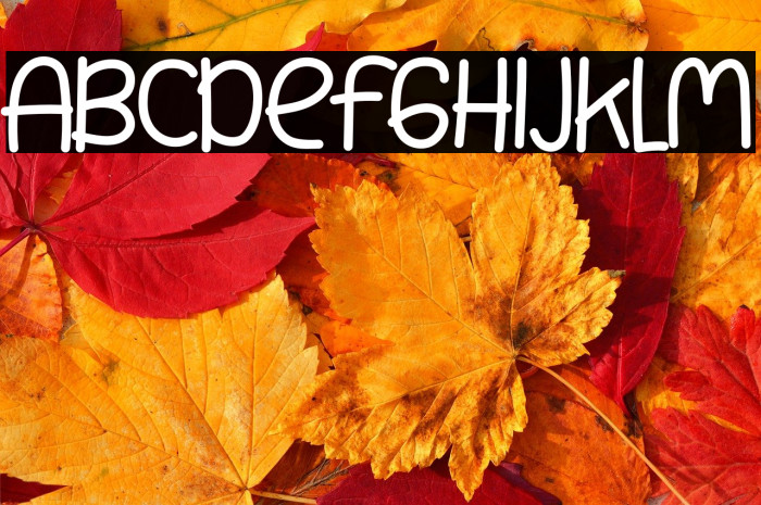 Small Bunny Example 2