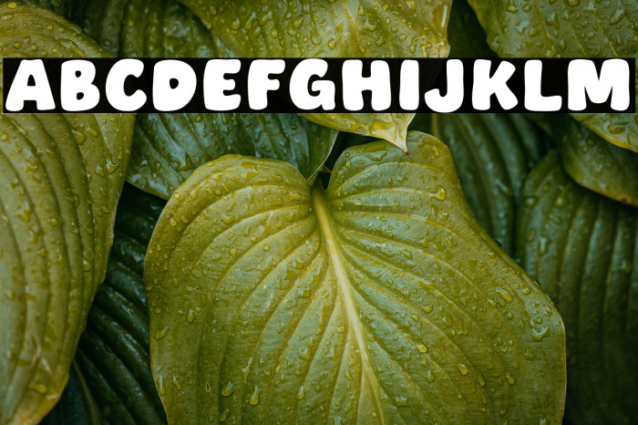 Small Cake Example 2