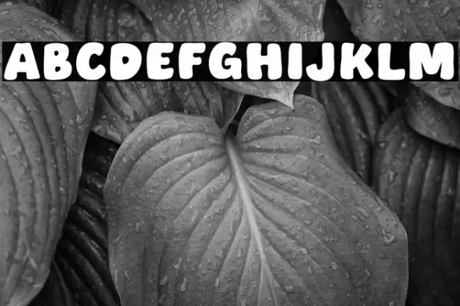 Small Cake Caratteri examples