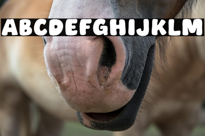 Small Cake Example 3