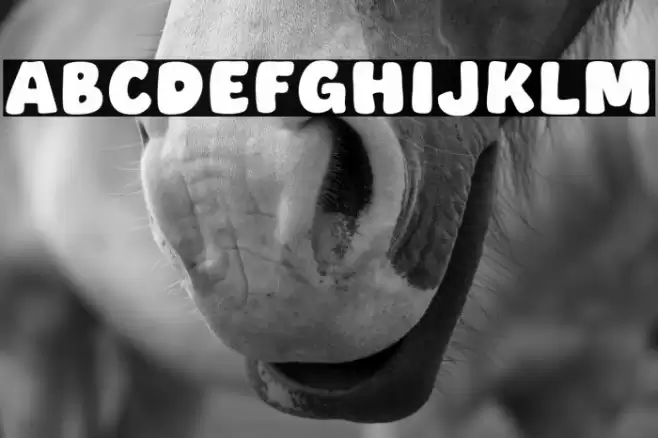 Small Cake Caratteri examples