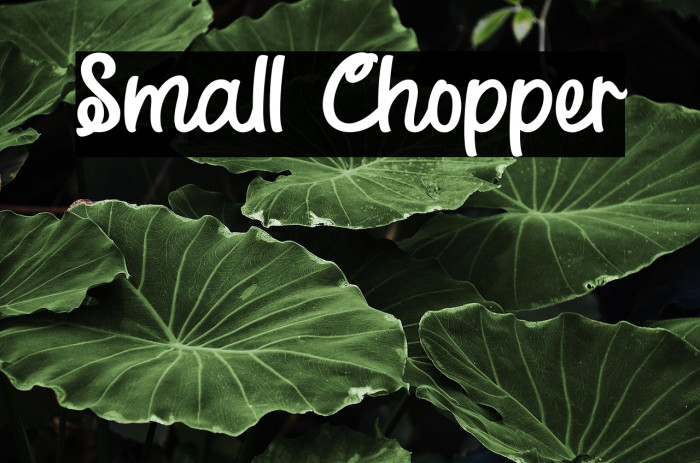 Small Chopper Example 2