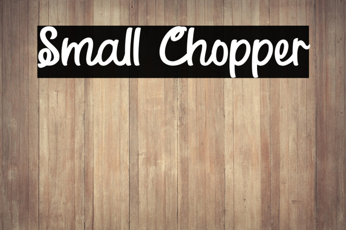 Small Chopper Example 3