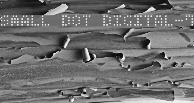 Small Dot Digital-7 Font examples