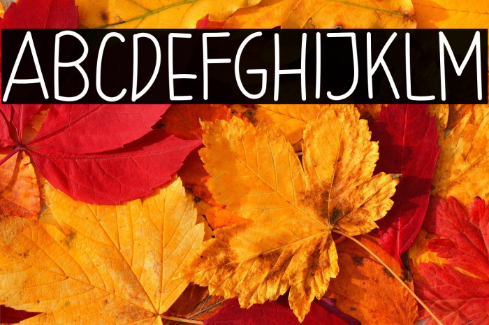 Small Handy Example 1