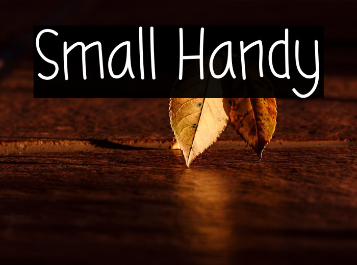 Small Handy Example 2