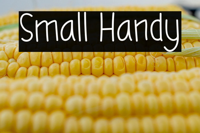 Small Handy Example 3