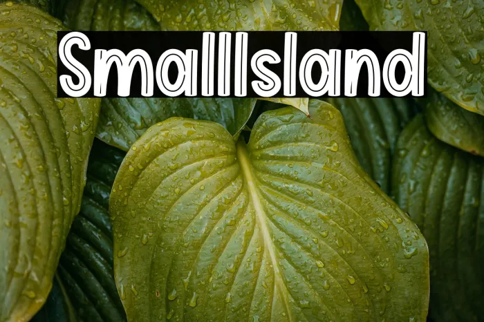 Small Island Example 2