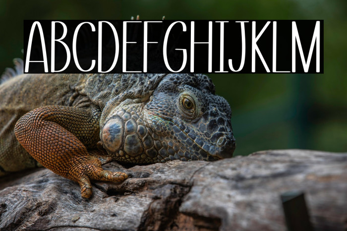 Small Love Example 2