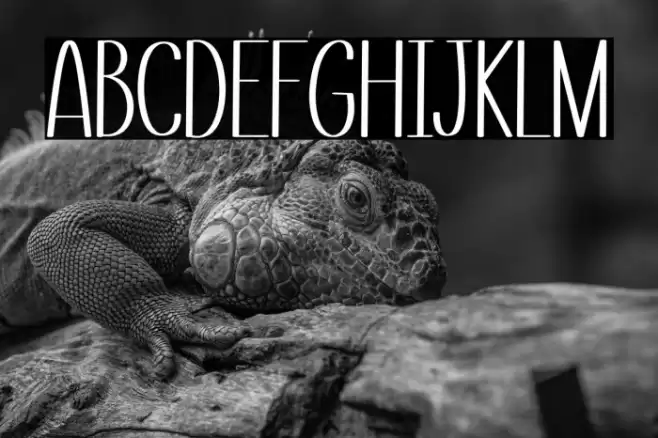 Small Love Font examples