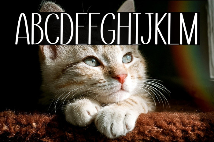 Small Love Example 3